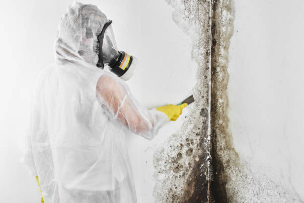 Water Damage Restoration in Marysville, MI