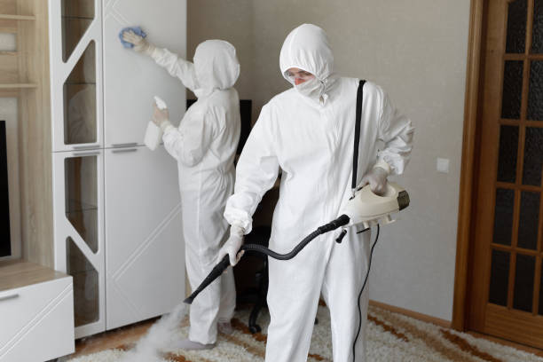 Best Certified Mold Removal  in Marysville, MI